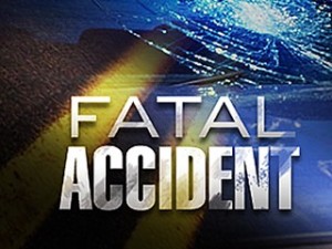 Fatal Vehicle Accident in Union Township After Driver Fails to Stop at Stop Sign Late Saturday Night
