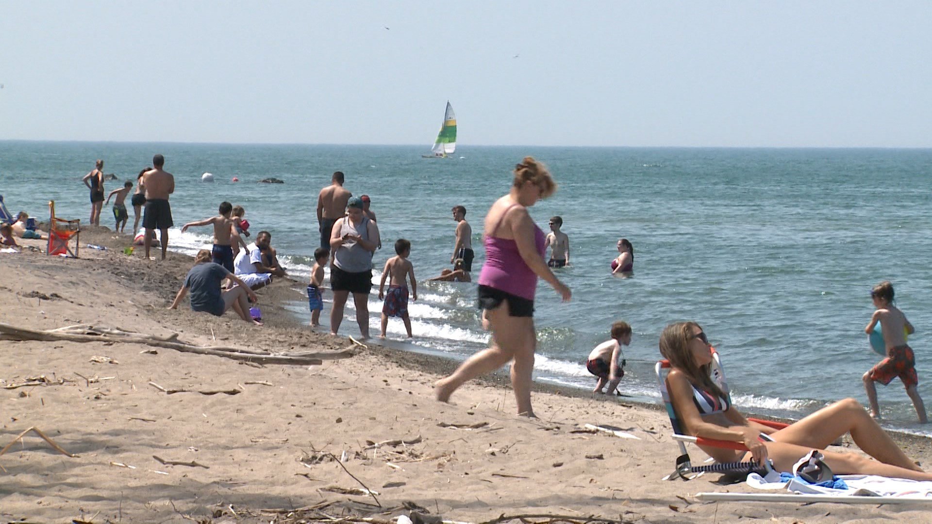 11 Dog Swimming Advisories Issued in Erie County