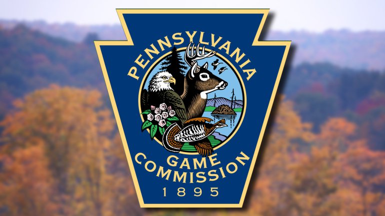 Pa. Step Closer to Allowing Use Thermal and Night Vision Equipment for Hunting