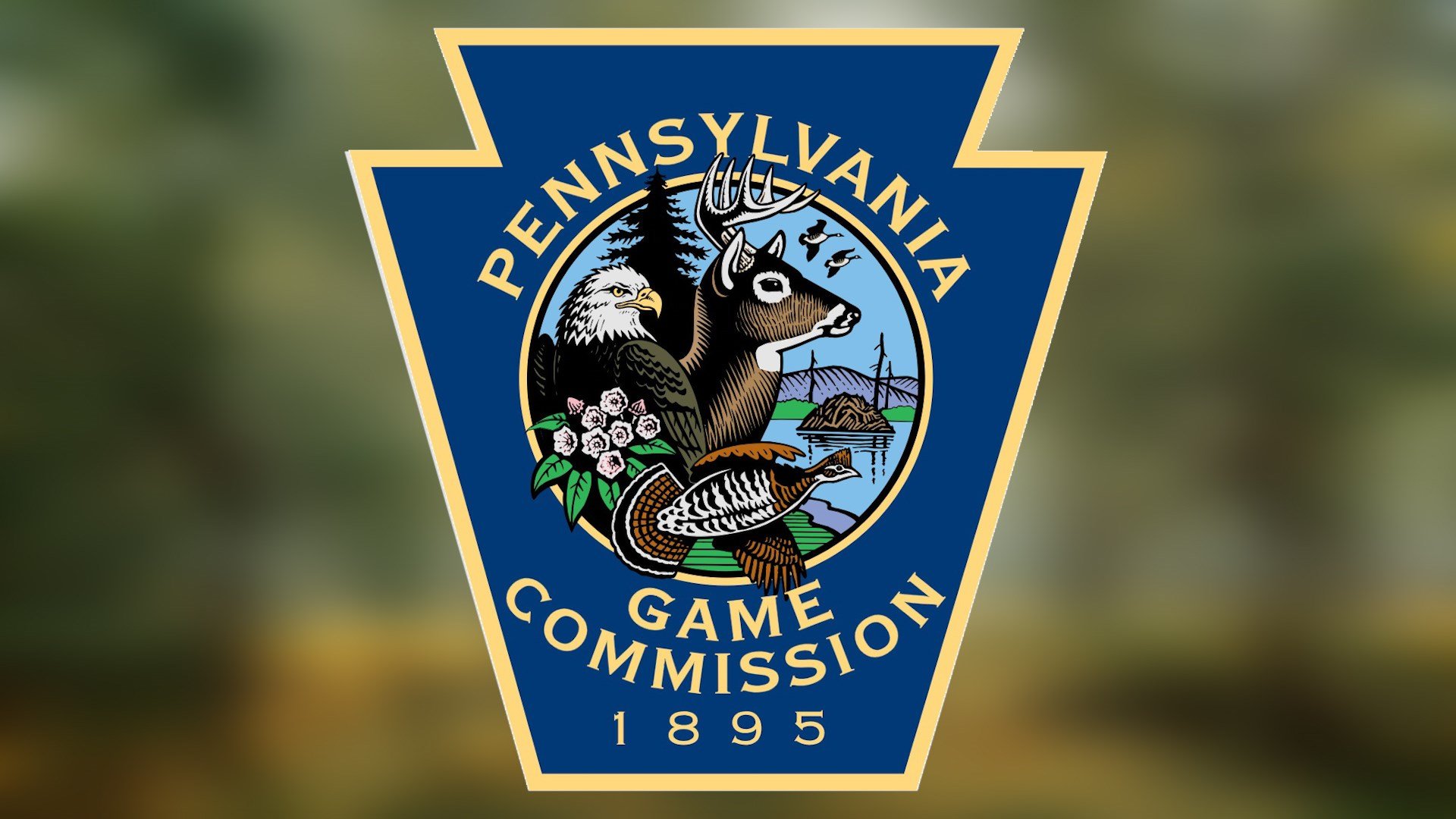 Pennsylvania Game Commission Hunting License Fulfillment Going Slower than Usual