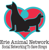 Erie Animal Network