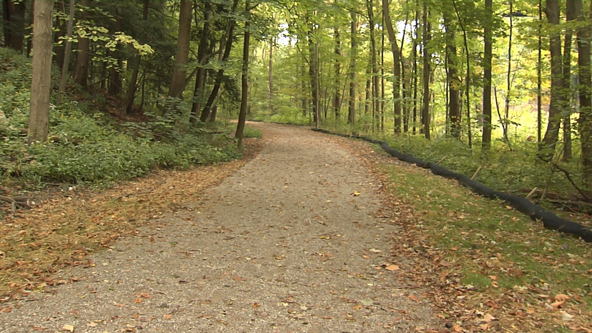 Penn State Behrend Begins Second Phase of Wintergreen Gorge Trail Improvement Project