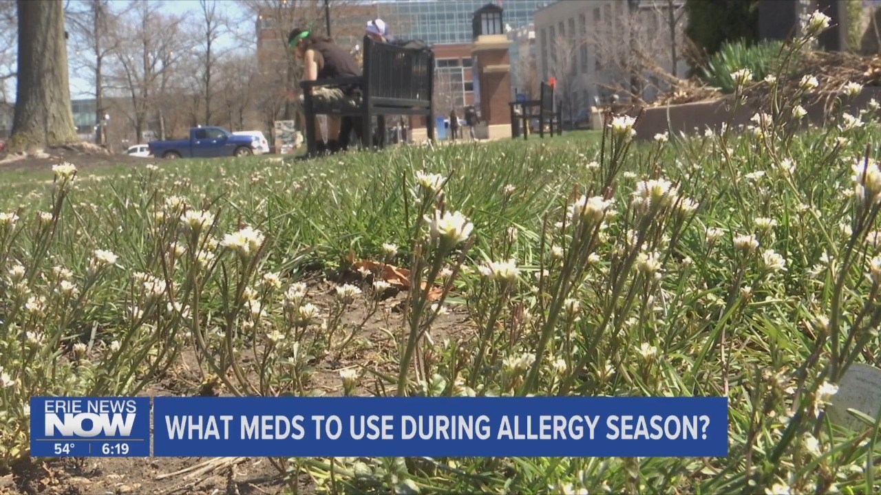 What to Know Going Into Allergy Season in Erie