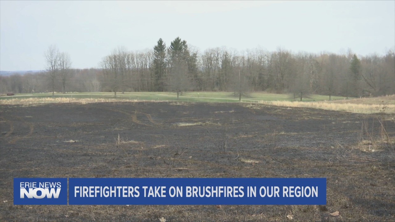 Fire Fighter Respond to Brush Fires in the Region