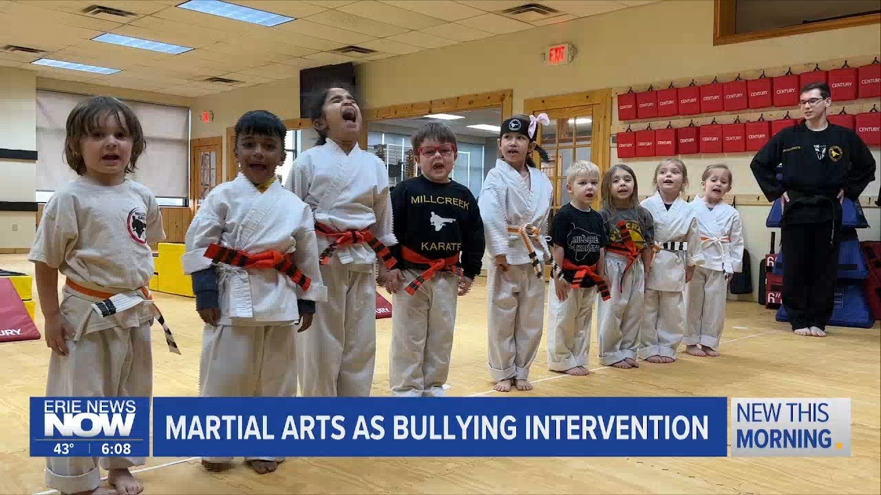 Martial Arts: A Culture of Bullying Intervention & Skill Variety