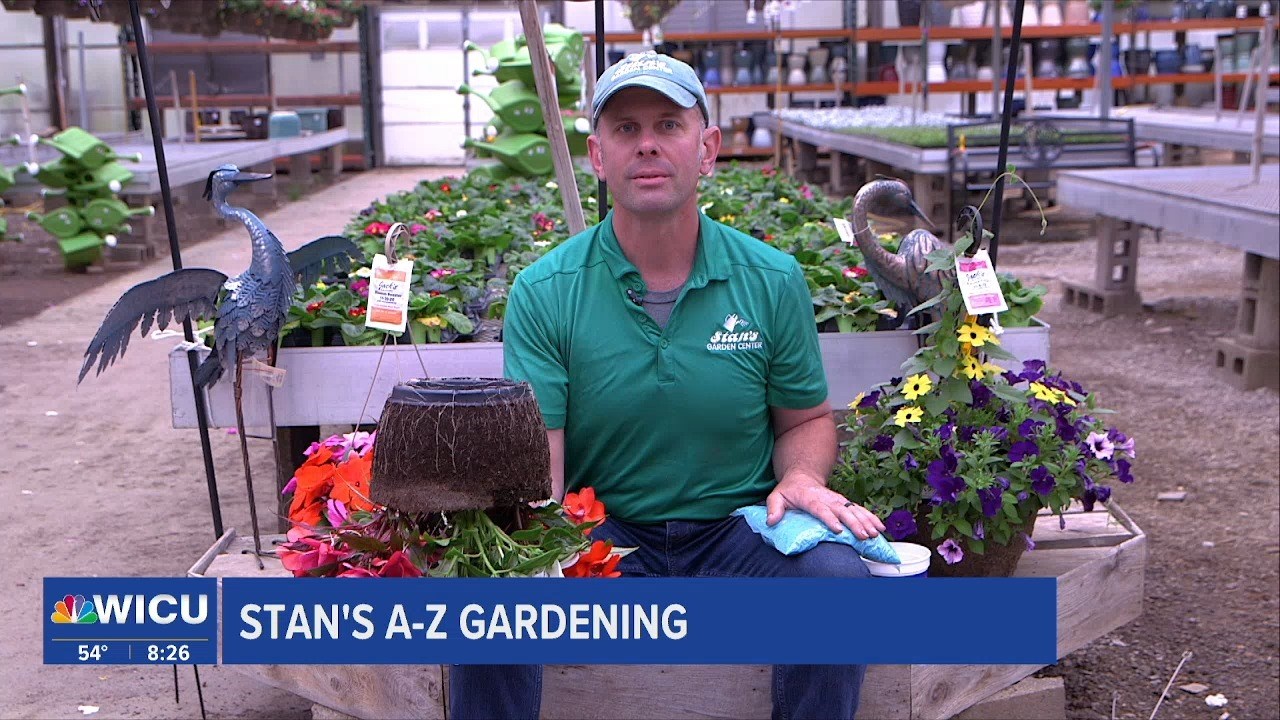 Stan's Gardening A-Z: Hanging Baskets