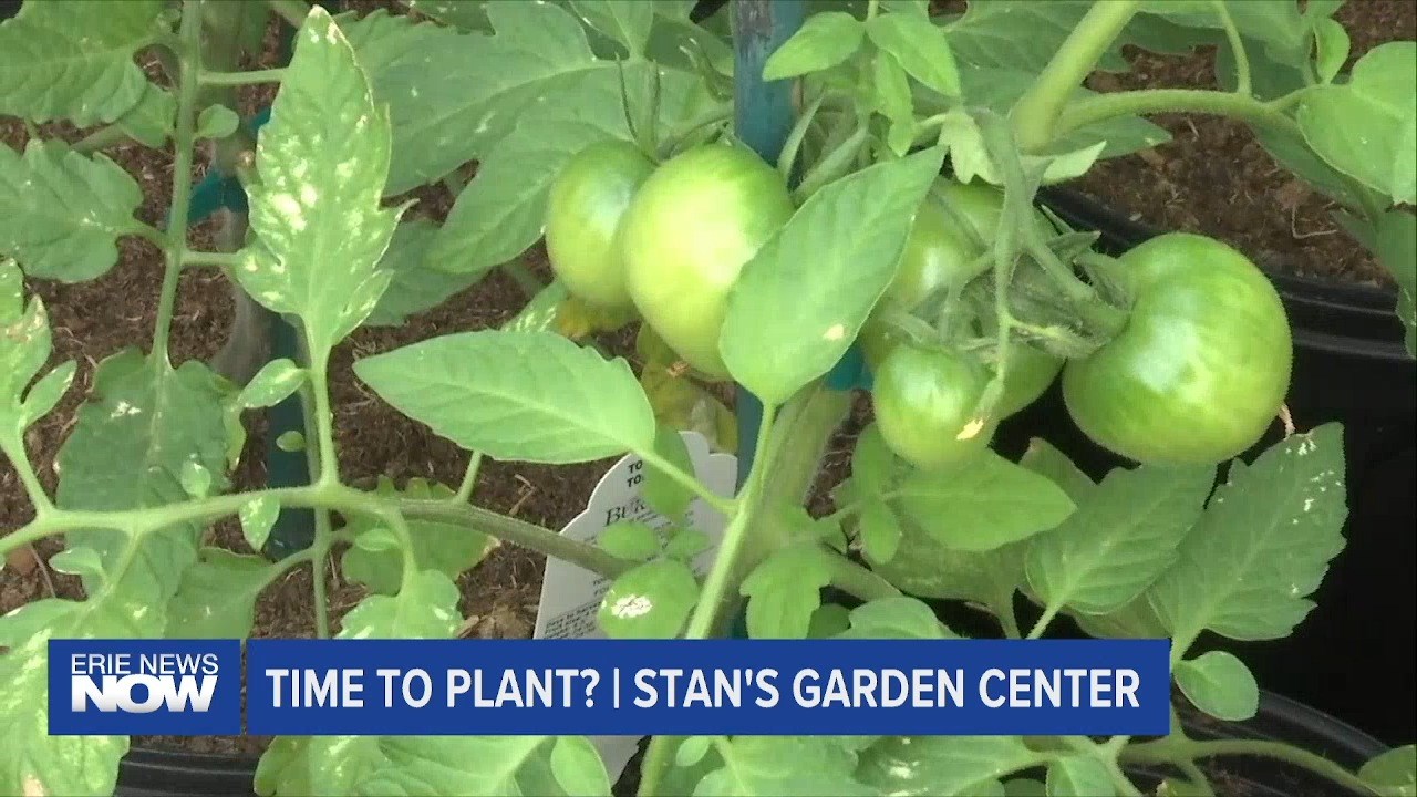 Is it Time to Plant Yet? Stan's Garden Center Has The Answer