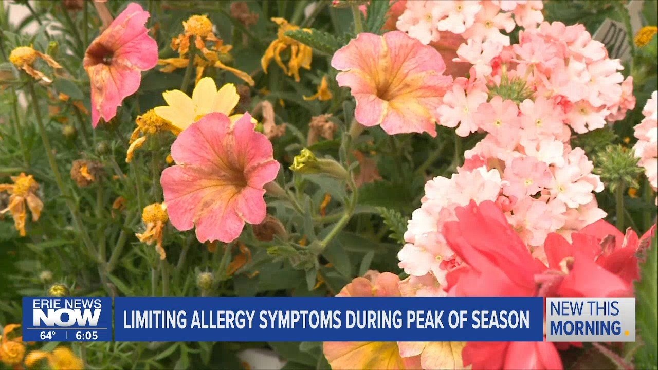 Limiting Allergy Symptoms During Peak of Season