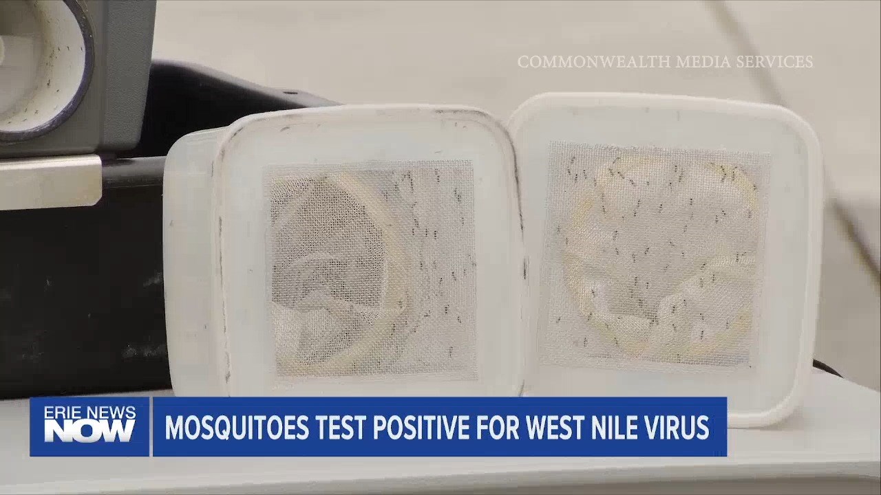 Mosquitoes Test Positive for West Nile Virus in Erie County