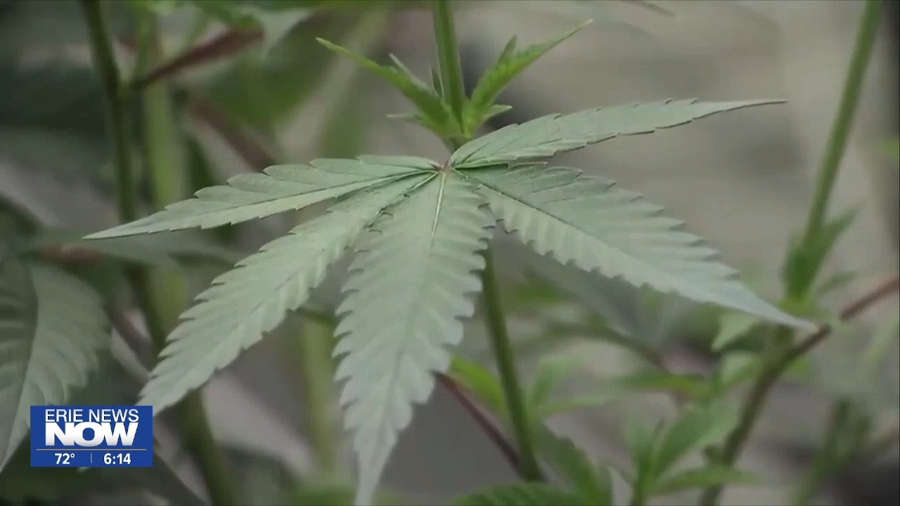 Legislation could restrict public marijuana consumption