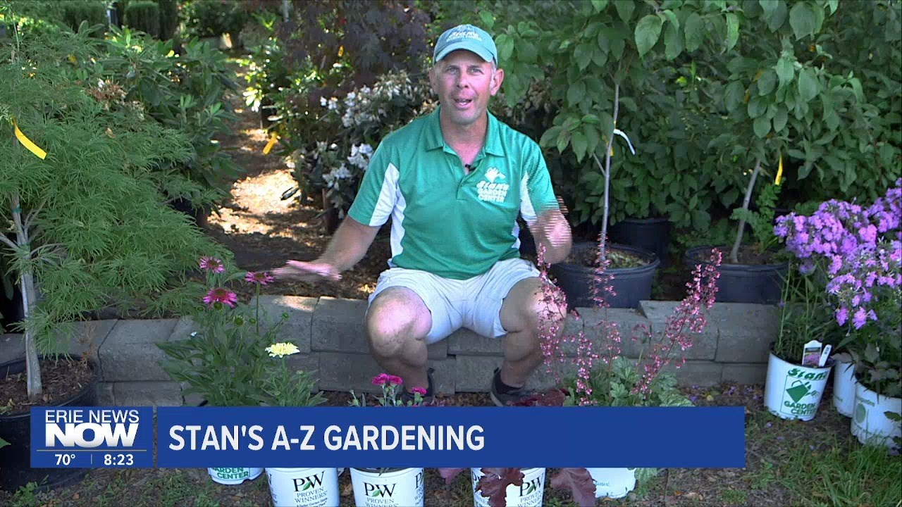 Stan's Gardening: A-Z Perennial Plants