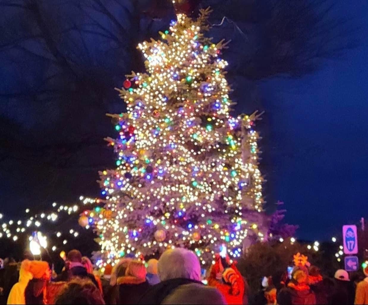 Bemus Point Business Association to Host Light Up the Point Holiday Celebration