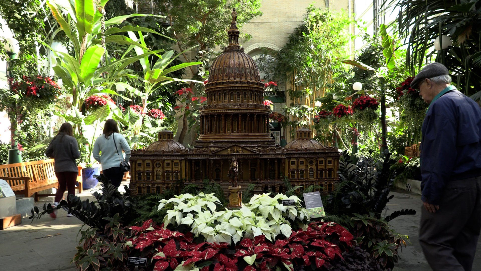 US Botanic Garden Unveils 