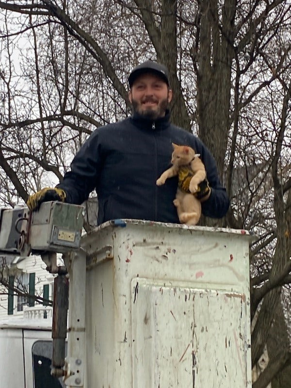 Bucket Truck Comes to Rescue of Cat Stuck in Tree