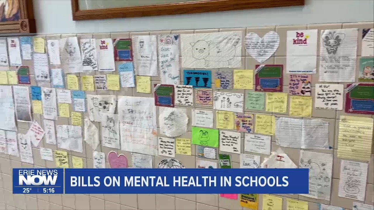 Educating on Mental Health in Schools: House Committee Votes on Bills