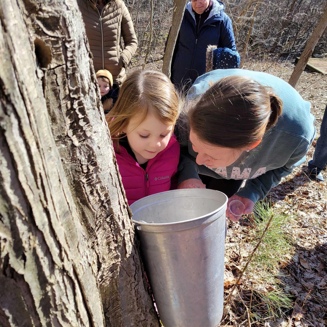 Annual Maple Festival Returns to Andrew J. Conner Nature Center at Asbury Woods
