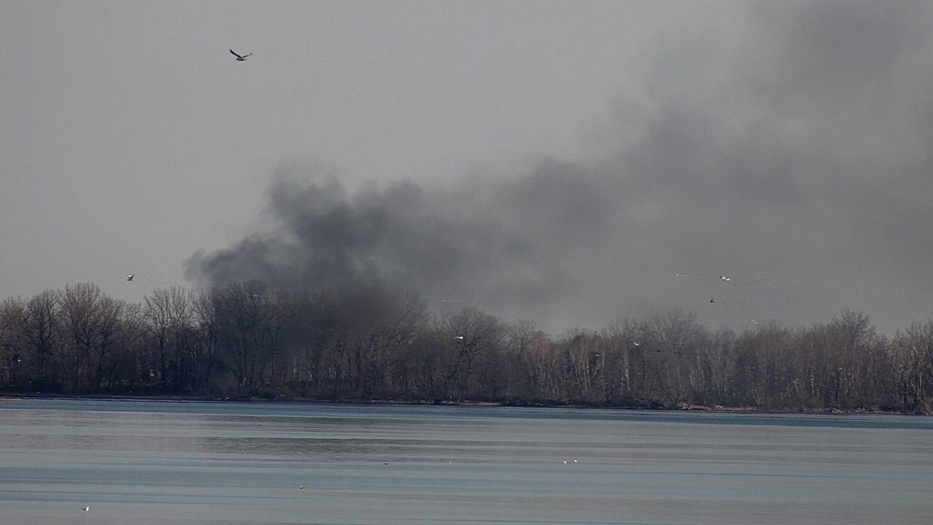 Controlled Burn Causes Dark Smoke on Erie's Bayfront