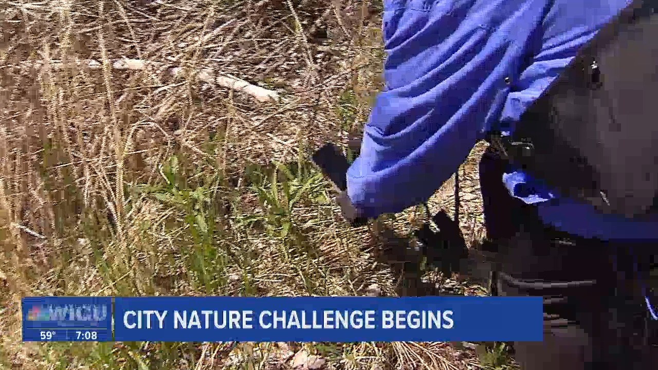 City Nature Challenge Kicks Off