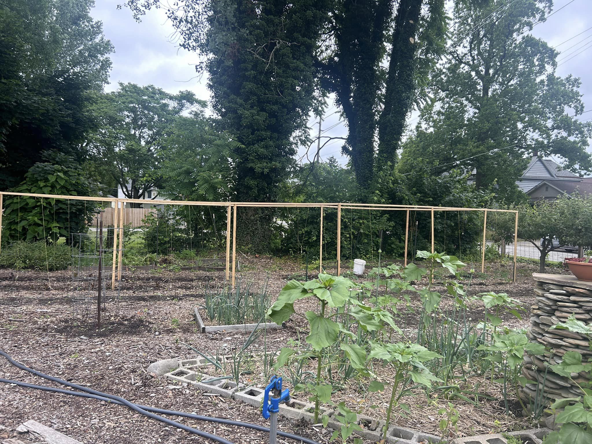 Community Members Step Up After Urban Farm Vandalized