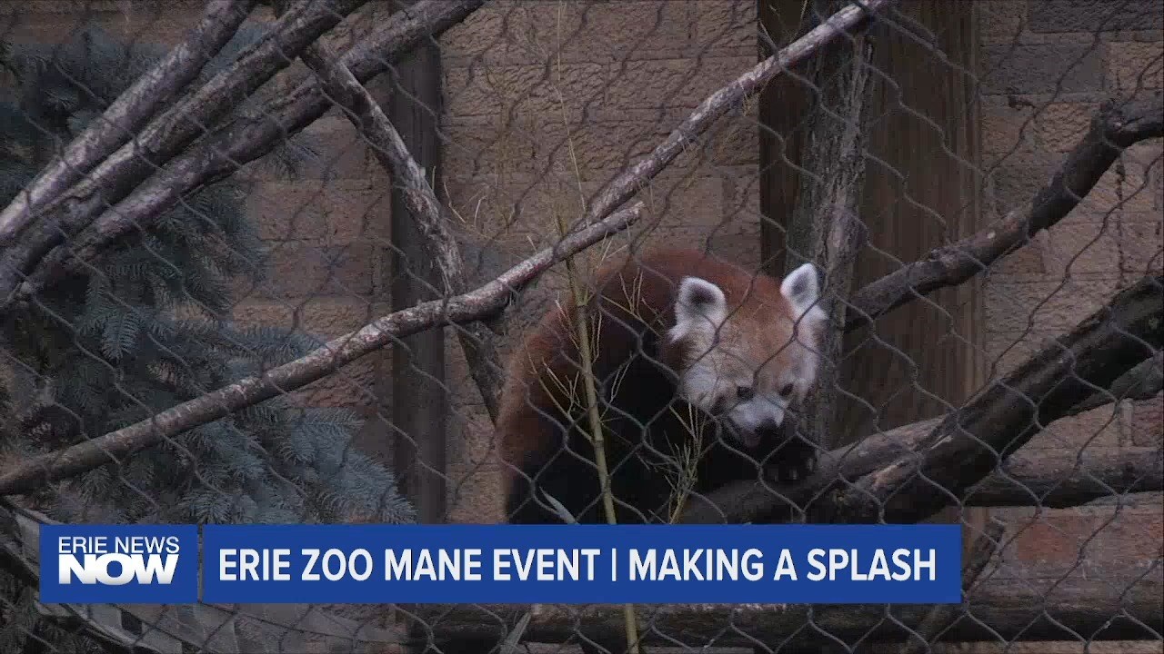 Erie Zoo's Mane Event