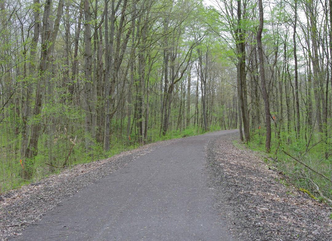 Crawford County Invites Community to Celebrate Newly Renamed George M. Hummer County Forest