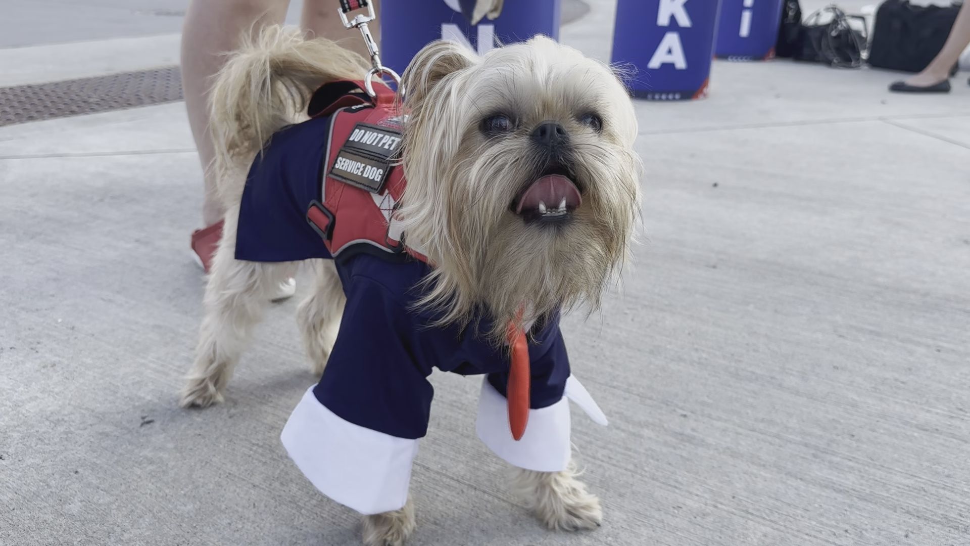 Top Hats, Jewelry and Dogs: Attendees Dress Up for Republican National Convention