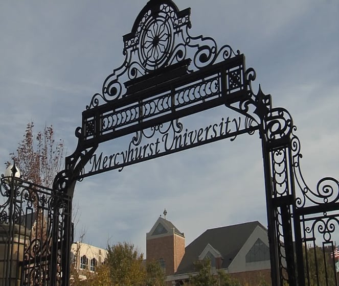 Image result for mercyhurst
