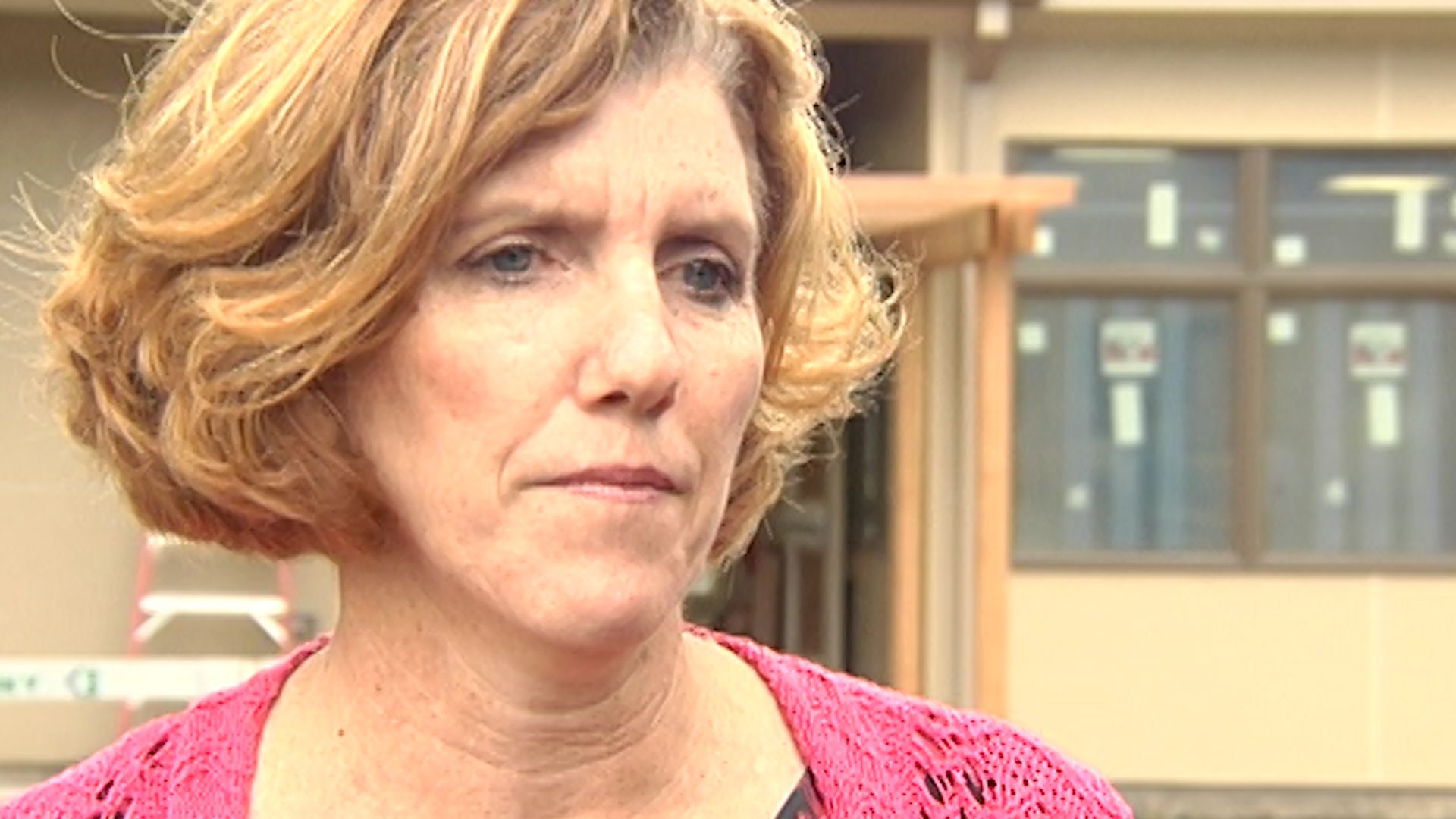 Grossman and Party Officials React to Possible Dahlkemper Run Erie