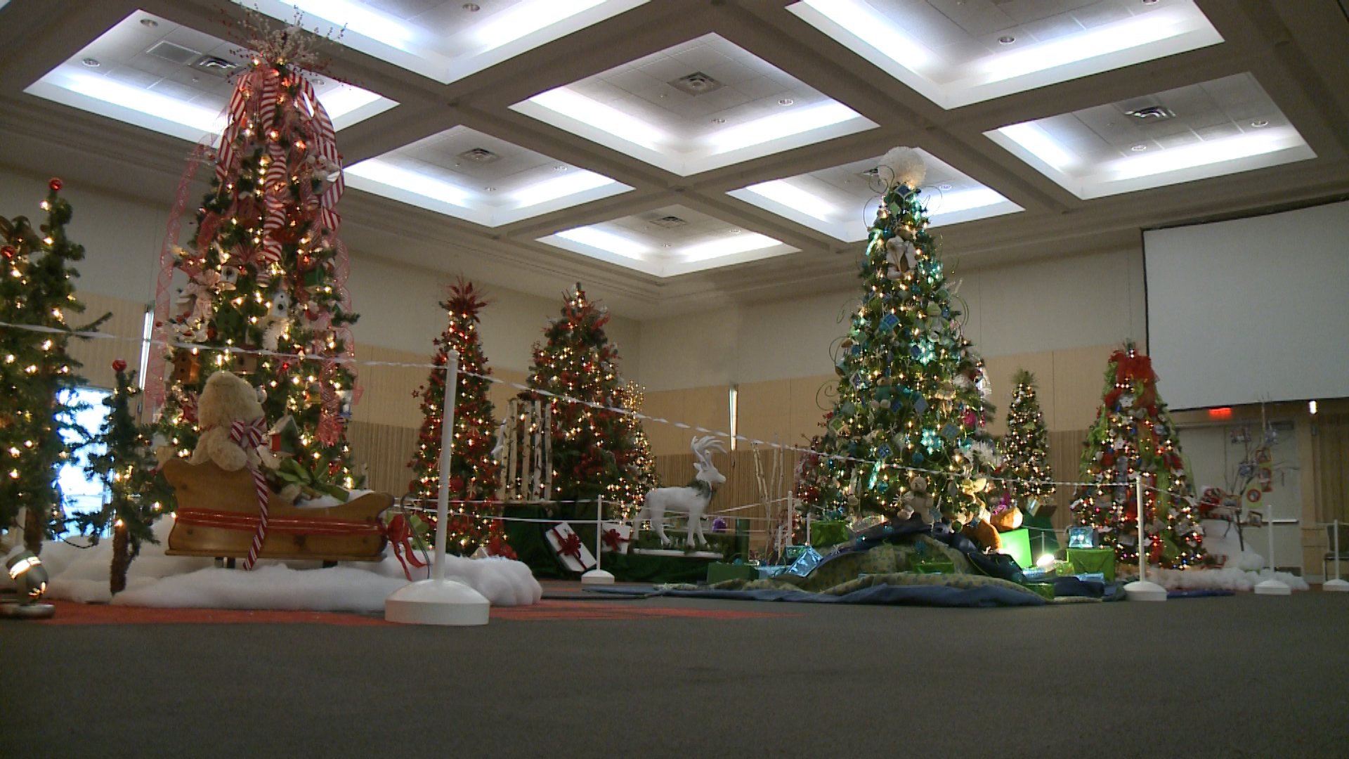 29th Annual Festival of Trees to Open Erie News Now WICU and WSEE