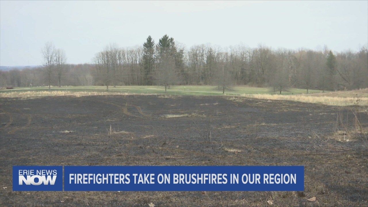 Fire Fighter Respond to Brush Fires in the Region Erie News Now