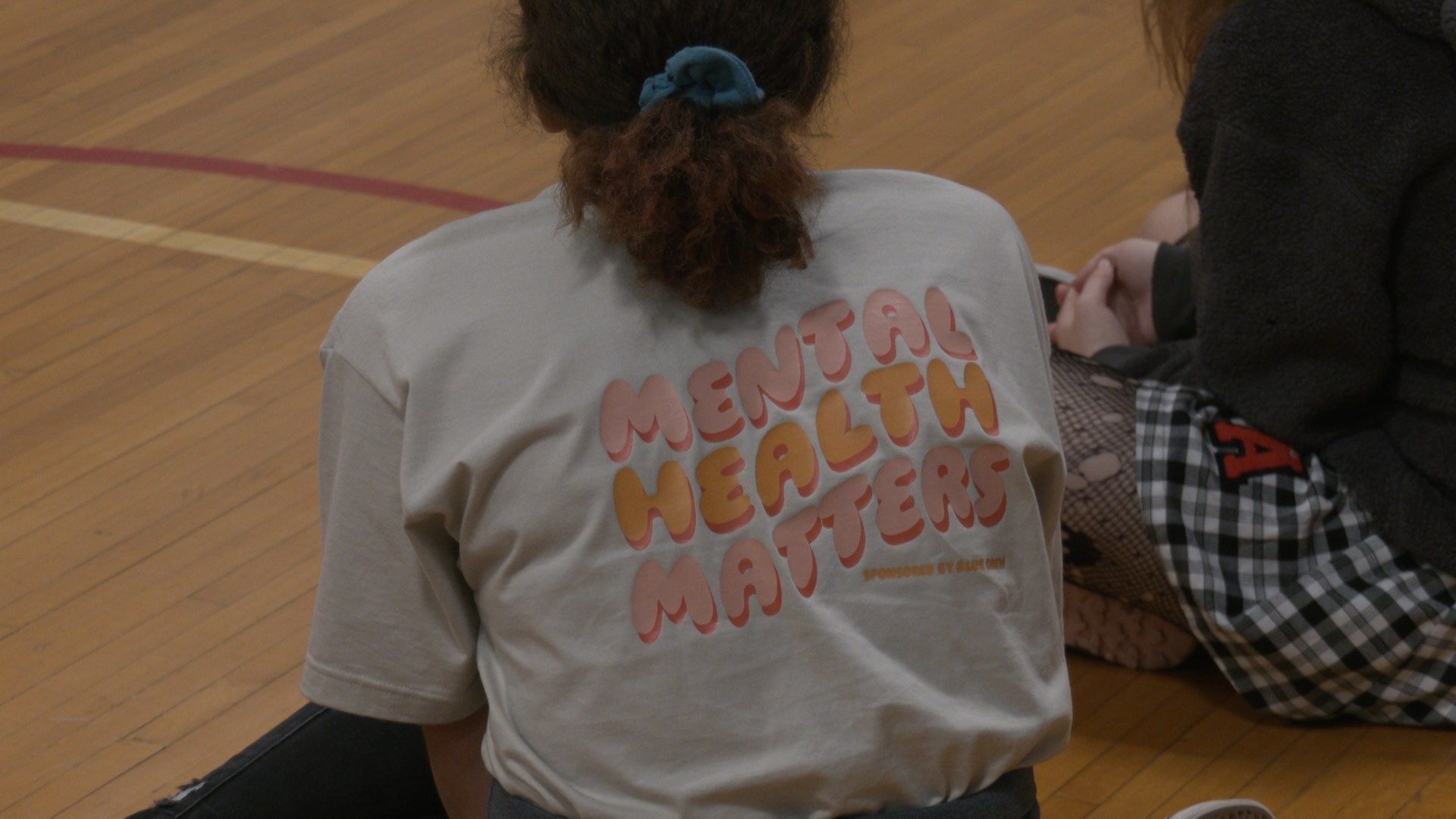 Fort LeBoeuf High School Hosts FirstEver Mental Health Awareness Day Erie News Now WICU and