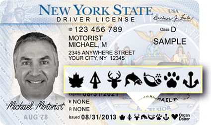 Fishing License Ny Age - Unique Fish Photo