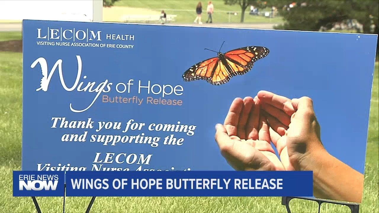 Annual Butterfly Release Remembers Loved Ones Erie News Now WICU