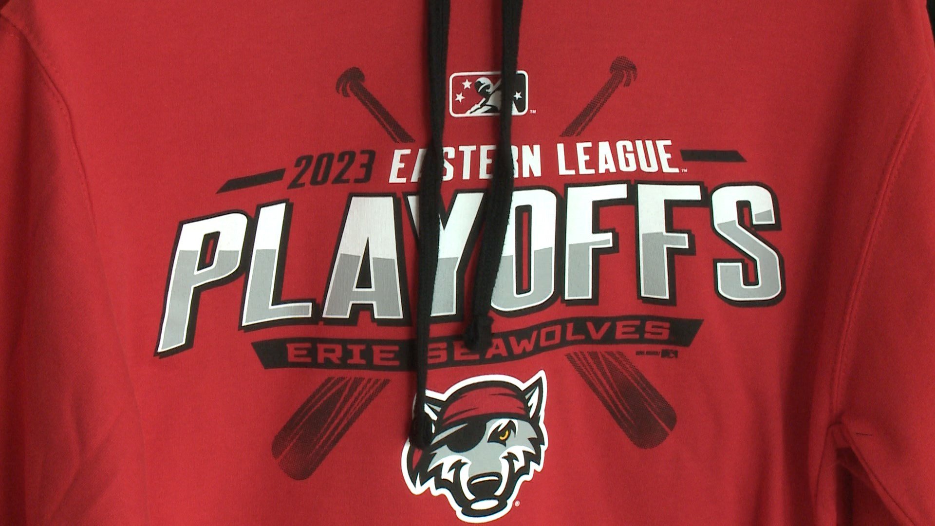 2023 Eastern League Champions Erie Seawolves T Shirt