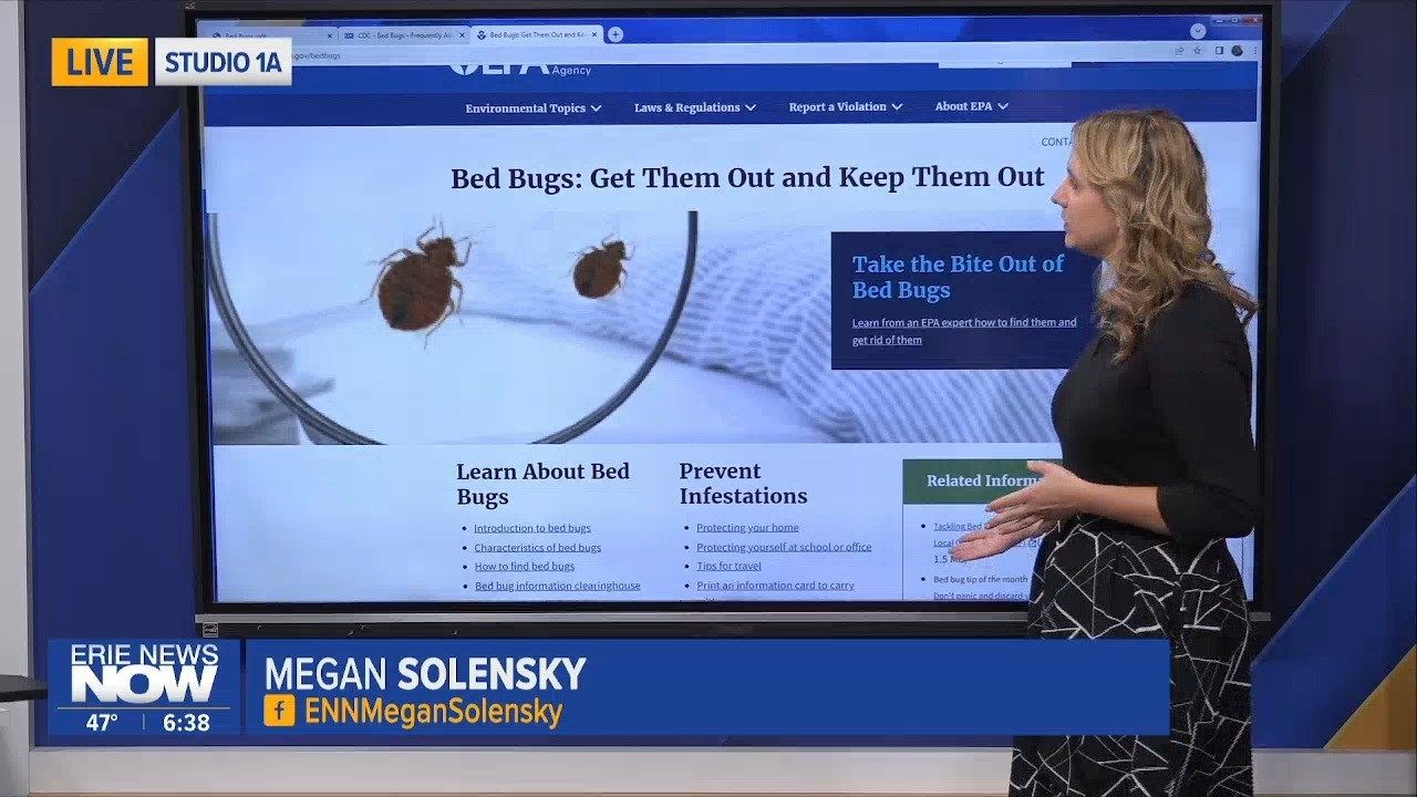 Bed Bugs Avoiding Infestation during Travel Erie News Now WICU and