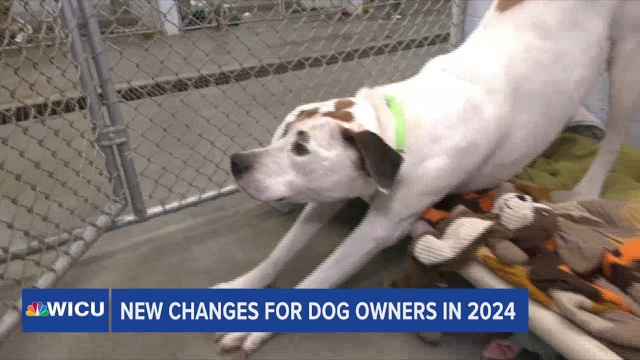 Changes Coming for Dog Licenses in 2024 Erie News Now WICU and WSEE