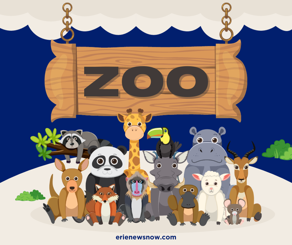 Pittsburgh Zoo & PPG Aquarium Named One of the Top Zoo Destinations in