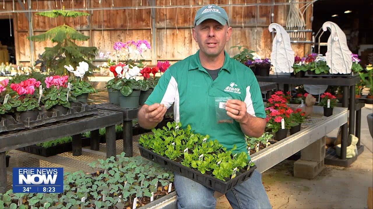 Stan S Gardening A Z Planting Cool Weather Vegetables Erie News Now Wicu And Wsee In Erie Pa