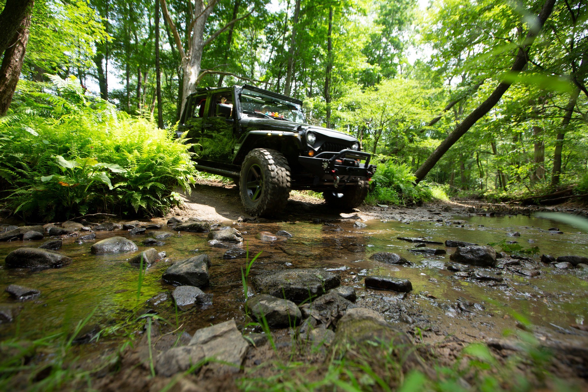 Ten Miles 4 Two Mile Jeep Run Returns for 4th Year - WENY News