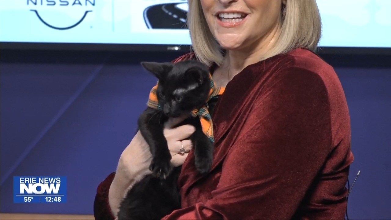 Erie News Now WICU and WSEE in Erie, PA