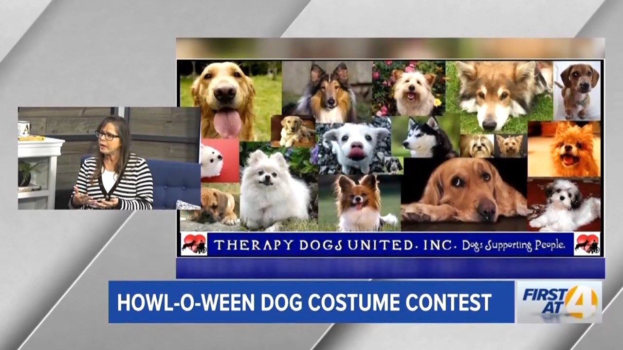 Erie News Now WICU and WSEE in Erie, PA